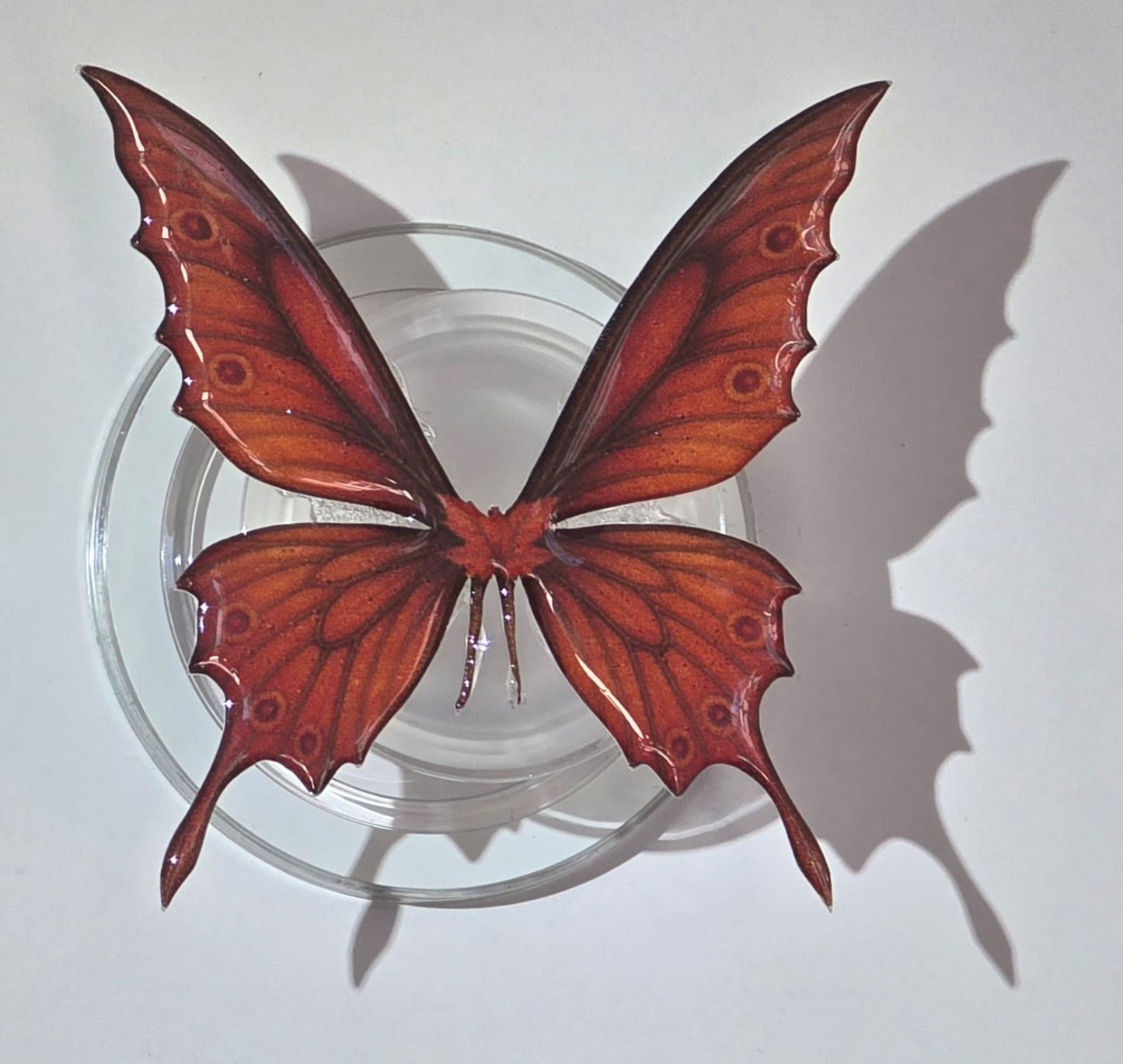 Autumn Butterfly Wing Grip – Magnetic Kindle & E-Reader Holder