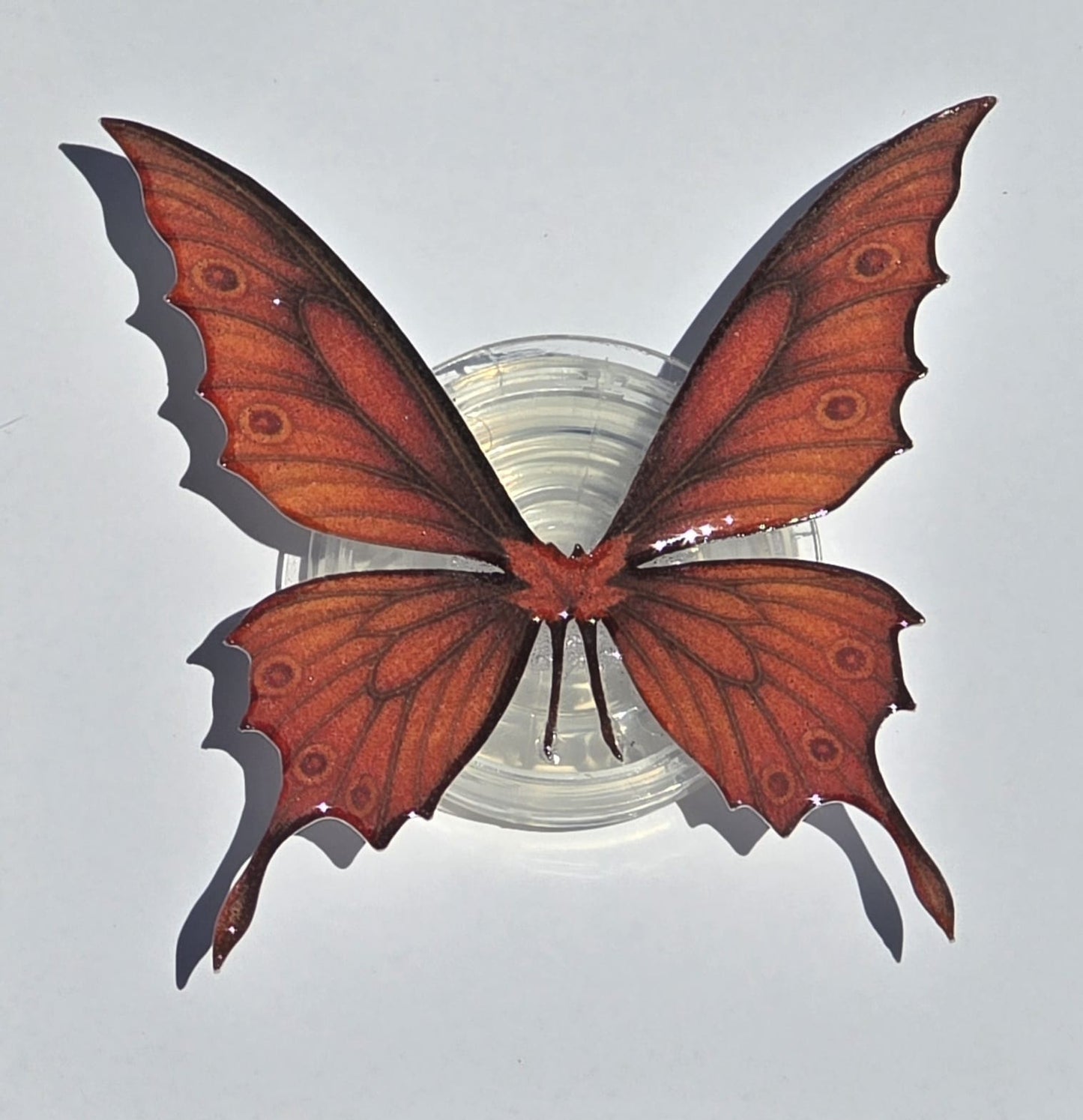 Autumn Butterfly Wing Grip – Adhesive Kindle & E-Reader Holder