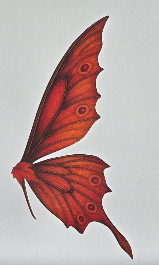 Autumn Butterfly Wing Bookmark – Fantasy Bookish Inspired
